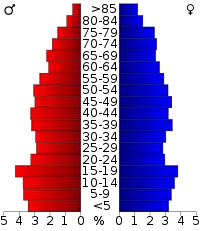 Pyramide des âges.