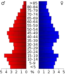 Schéma représentant la population du comté, par tranche d'âge. En rouge, à gauche, les femmes, en bleu à droite, les hommes.