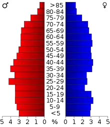 Schéma représentant la population du comté, par tranche d'âge. En rouge, à gauche, les femmes, en bleu à droite, les hommes.