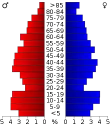 Schéma représentant la population du comté, par tranche d'âge. En rouge, à gauche, les femmes, en bleu à droite, les hommes.