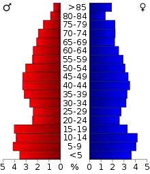 Schéma représentant la population du comté, par tranche d'âge. En rouge, à gauche, les femmes, en bleu à droite, les hommes.