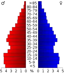 Schéma représentant la population du comté, par tranche d'âge. En rouge, à gauche, les femmes, en bleu à droite, les hommes.