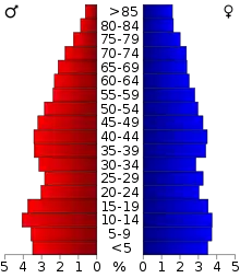 Schéma représentant la population du comté, par tranche d'âge. En rouge, à gauche, les femmes, en bleu à droite, les hommes.