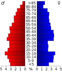 Schéma représentant la population du comté, par tranche d'âge. En rouge, à gauche, les femmes, en bleu à droite, les hommes.