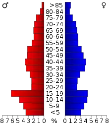 Schéma représentant la population du comté, par tranche d'âge. En rouge, à gauche, les femmes, en bleu à droite, les hommes.