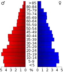 Schéma représentant la population du comté, par tranche d'âge. En rouge, à gauche, les femmes, en bleu à droite, les hommes.