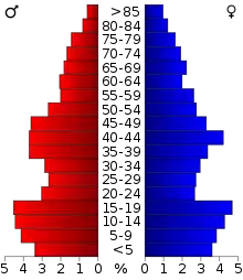 Schéma représentant la population du comté, par tranche d'âge. En rouge, à gauche, les femmes, en bleu à droite, les hommes.