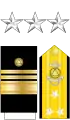 Insignes pour le National Oceanic and Atmospheric Administration Commissioned Officer Corps.
