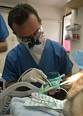 Dentiste pour chien (U.S. Navy).