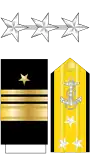 US Navy O9 insignia