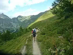 Vue du Petit (à gauche) et du Grand col Ferret (à droite) séparés par la tête de Ferret au fond du val Ferret italien l'édition 2021 de l'UTMB.