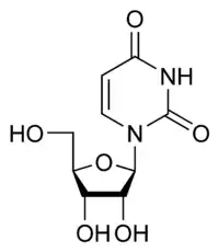 Image illustrative de l’article Uridine