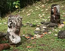 Photographie de deux des trois tikis en tuf rouge du site de Meiaute.