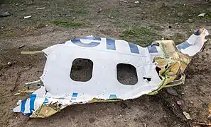 Un débris du vol PS 752.