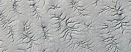 Vue d'une partie d'Ultimi Scopuli prise par HiRISE le 2 juillet 2009