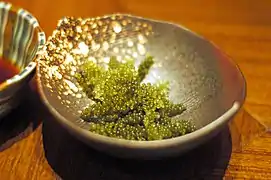 Umibudō (caviar vert, ou algue raisin de mer de la cuisine d'Okinawa).