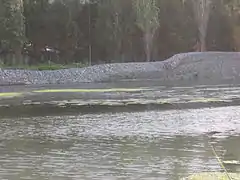 Le torrent à proximité de l'embouchure.