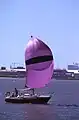 Un voilier sous spinnaker dans la baie de La Rochelle.