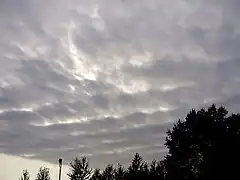 Altocumulus undulatus