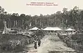 Une société commerciale et de transports à Bangui, entre 1896 et 1910