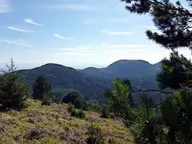 Vue du puy de Chaumont à gauche avec le Petit Sarcouy et le Grand Sarcouy en arrière-plan depuis le puy des Gouttes.