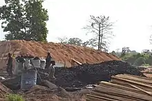 Ouvriers fabriquant du charbon de bois.