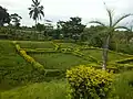 Jardin à fleurs