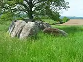 Le dolmen d'Unsac.