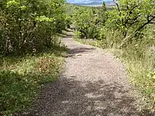 Sentier gravillonné muni de cassis pour l'écoulement des eaux au milieu d'essences d'arbres de type méditerranéen.