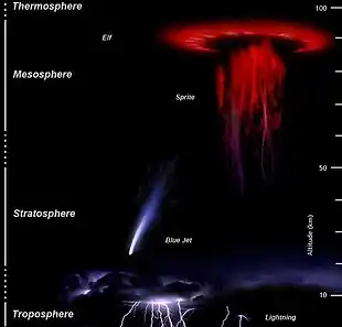 Dessins de phénomènes lumineux transitoires selon l'altitude. Les éclairs se produisent en dessous de 10 kilomètres d'altitude, les jets bleus entre 20 et 30 kilomètres, les farfadets entre 50 et 90 et les elfs entre 85 et 100.