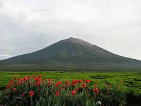 Vue du Kerinci.