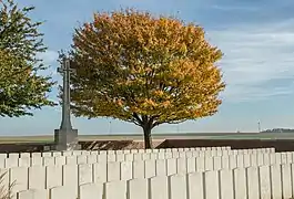 Upton Wood cemetery