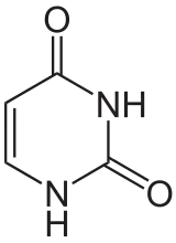 structure chimique de l'uracile