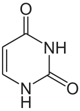 Image illustrative de l’article Uracile