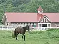 Élevage de chevaux à Urakawa.