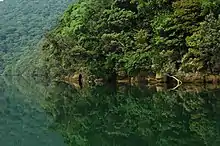 Berge très boisée se reflétant dans l'eau.