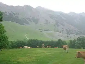 Aitxuri près des sommets voisins dans le massif d'Aizkorri