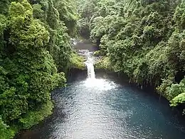 île de Bioko (Guinée équatoriale)