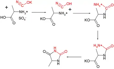 Mécanisme réactionnel de la synthèse d'hydantoïne d'Urech à partir de l'alanine