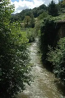 La Nive des Aldudes à Urepel