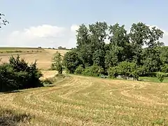 Paysage de la commune, au sud-est du village