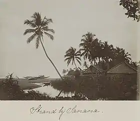 Photo d'une plage vers 1900