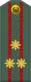 Polkovnik(Uzbek Ground Forces)