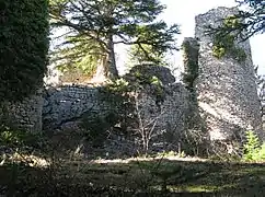 Le château médiéval du XIIIe siècle.