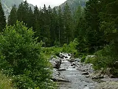 Vallon de la Madone de Fenestre, Saint-Martin-Vésubie en juin 2017.