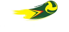 Logo du Vôlei Bauru