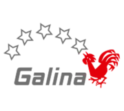 Logo du VBC Galina