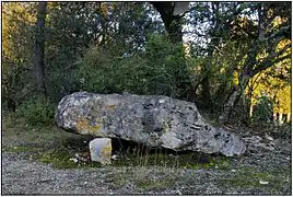 Le dolmen de Peyrelevade.