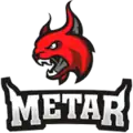 Logo du VK Metar