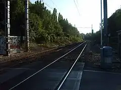 Au sud de Mennecy, la ligne s'enfonce dans la forêt qui occupe la vallée de l'Essonne.